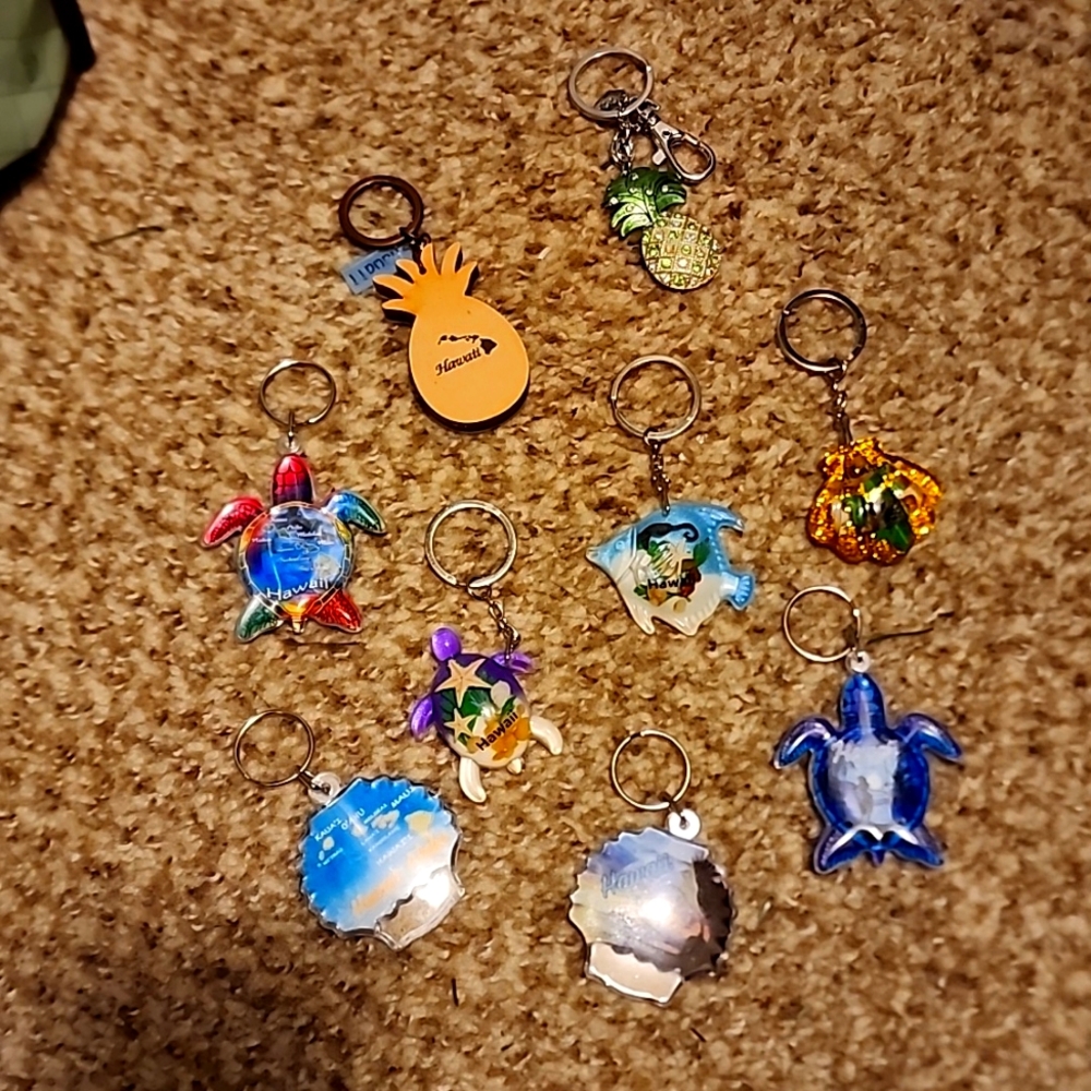 Hawaii Keychains